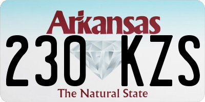 AR license plate 230KZS