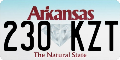 AR license plate 230KZT