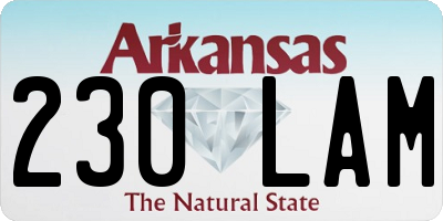 AR license plate 230LAM