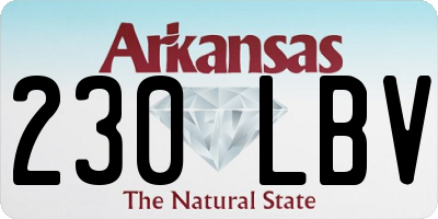 AR license plate 230LBV