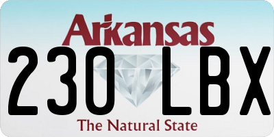 AR license plate 230LBX