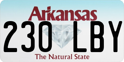 AR license plate 230LBY