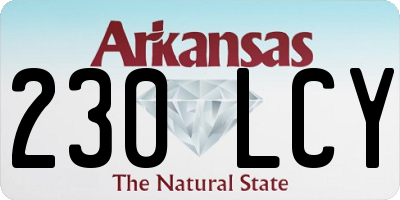 AR license plate 230LCY