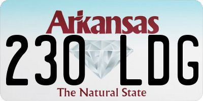 AR license plate 230LDG