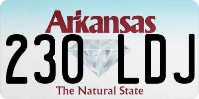 AR license plate 230LDJ