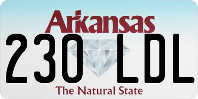 AR license plate 230LDL