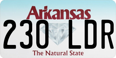 AR license plate 230LDR