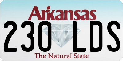 AR license plate 230LDS