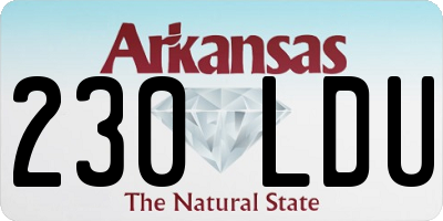 AR license plate 230LDU