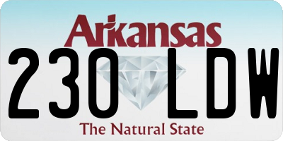 AR license plate 230LDW