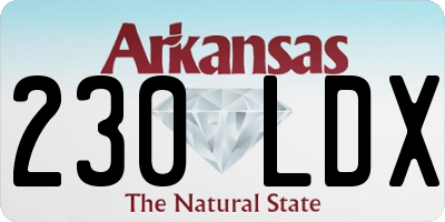 AR license plate 230LDX