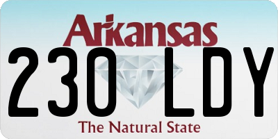 AR license plate 230LDY