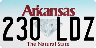 AR license plate 230LDZ