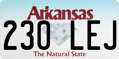 AR license plate 230LEJ