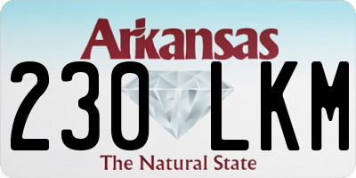 AR license plate 230LKM