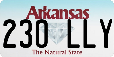 AR license plate 230LLY