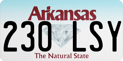 AR license plate 230LSY