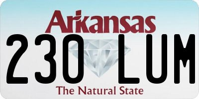 AR license plate 230LUM