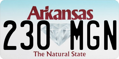 AR license plate 230MGN