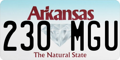 AR license plate 230MGU