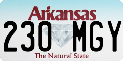 AR license plate 230MGY