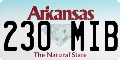 AR license plate 230MIB
