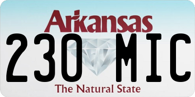 AR license plate 230MIC