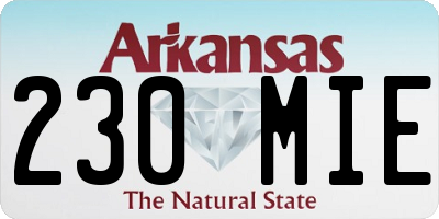 AR license plate 230MIE