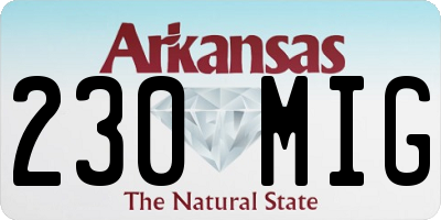 AR license plate 230MIG
