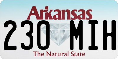 AR license plate 230MIH