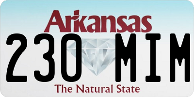 AR license plate 230MIM