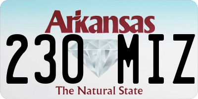 AR license plate 230MIZ