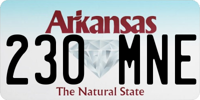 AR license plate 230MNE