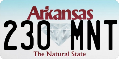 AR license plate 230MNT