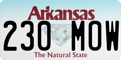 AR license plate 230MOW