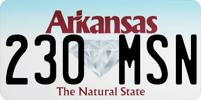 AR license plate 230MSN