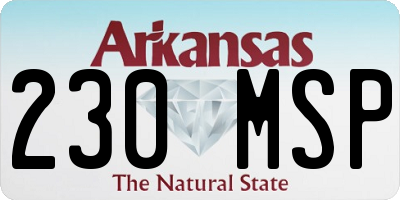 AR license plate 230MSP