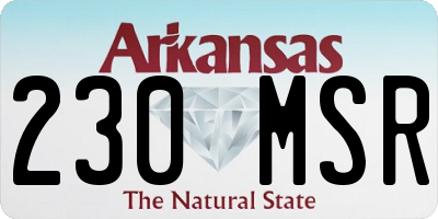 AR license plate 230MSR