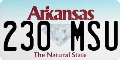 AR license plate 230MSU