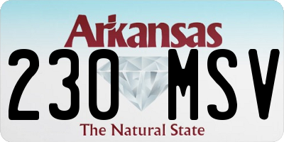 AR license plate 230MSV