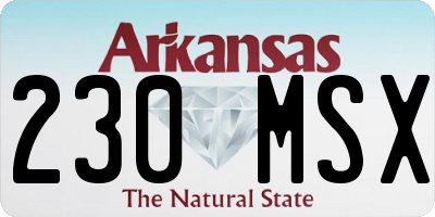 AR license plate 230MSX