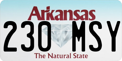AR license plate 230MSY