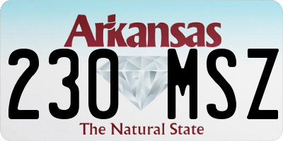 AR license plate 230MSZ