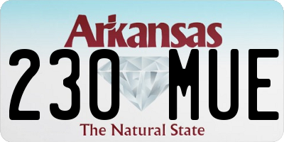 AR license plate 230MUE