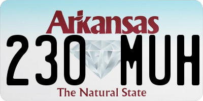 AR license plate 230MUH