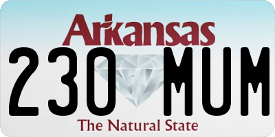 AR license plate 230MUM
