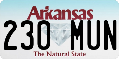 AR license plate 230MUN