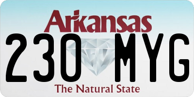 AR license plate 230MYG