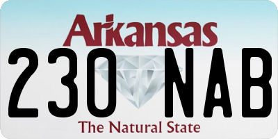AR license plate 230NAB