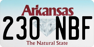 AR license plate 230NBF